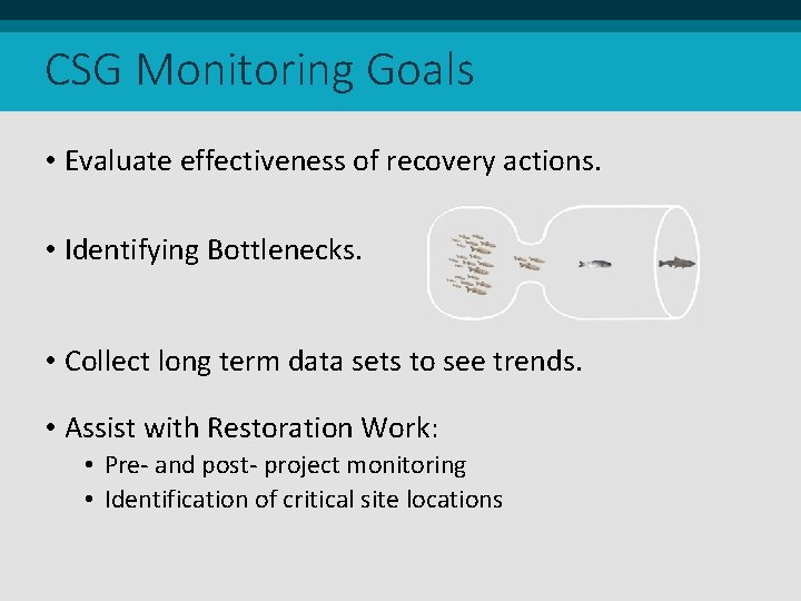 CSG Monitoring Goals • Evaluate effectiveness of recovery actions. • Identifying Bottlenecks. • Collect