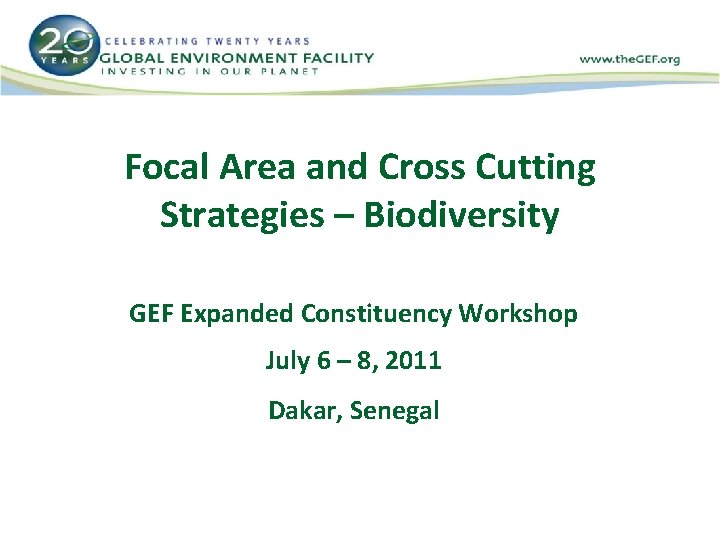 Focal Area and Cross Cutting Strategies – Biodiversity GEF Expanded Constituency Workshop July 6