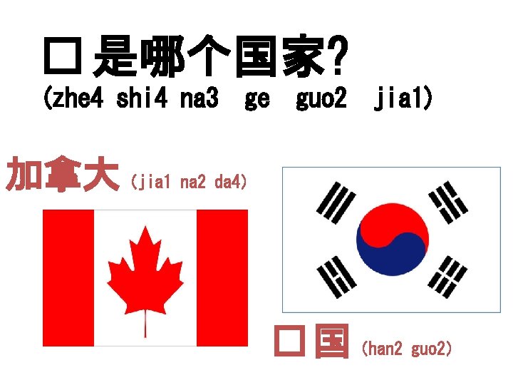 � 是哪个国家? (zhe 4 shi 4 na 3 ge guo 2 jia 1) 加拿大（jia