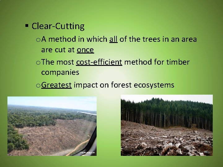 § Clear-Cutting o A method in which all of the trees in an area