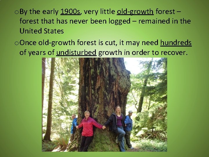 o By the early 1900 s, very little old-growth forest – forest that has
