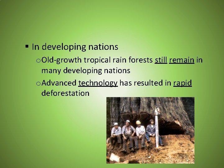 § In developing nations o Old-growth tropical rain forests still remain in many developing