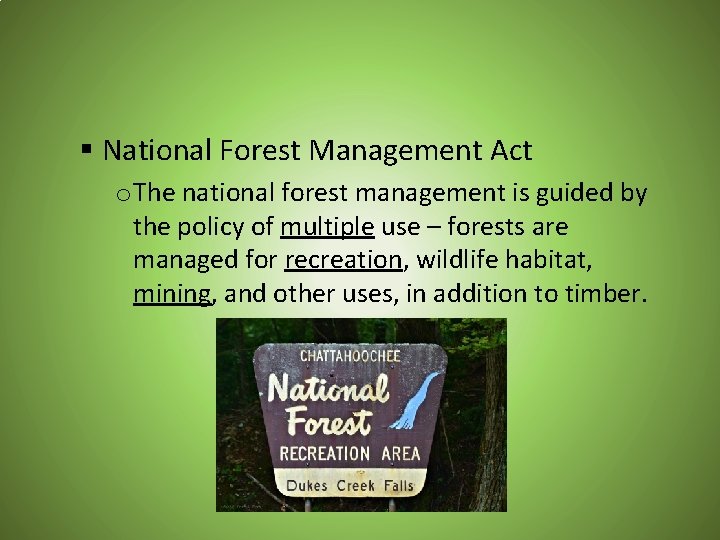 § National Forest Management Act o The national forest management is guided by the
