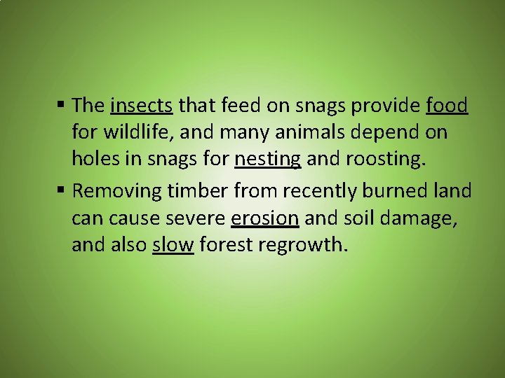 § The insects that feed on snags provide food for wildlife, and many animals