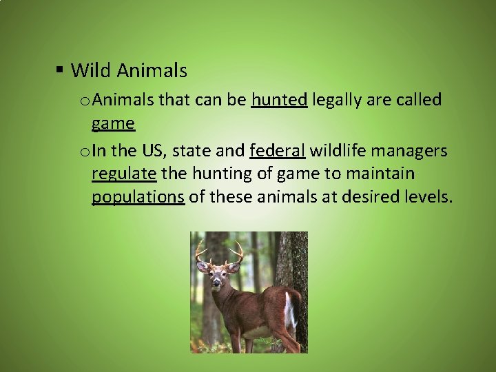§ Wild Animals o Animals that can be hunted legally are called game o