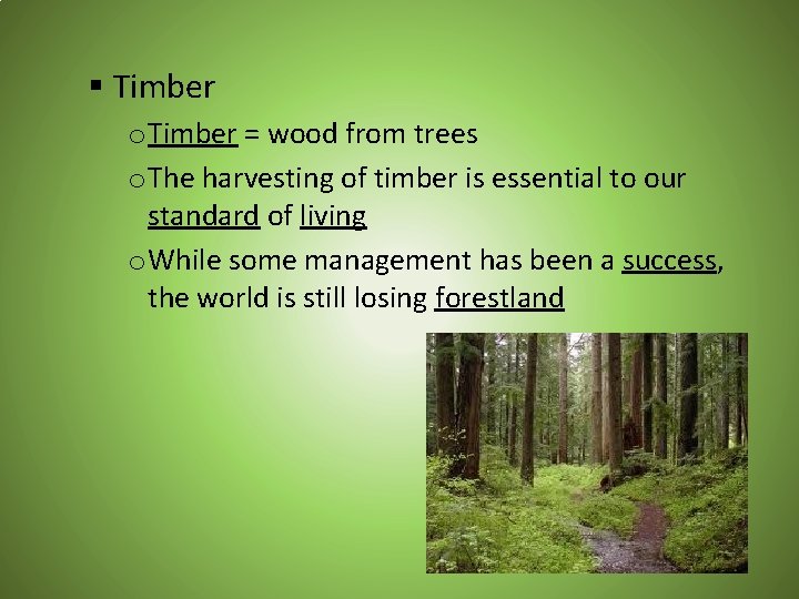 § Timber o Timber = wood from trees o The harvesting of timber is