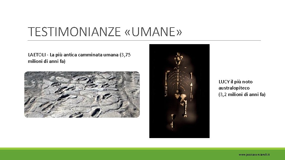 TESTIMONIANZE «UMANE» LAETOLI - La più antica camminata umana (3, 75 milioni di anni