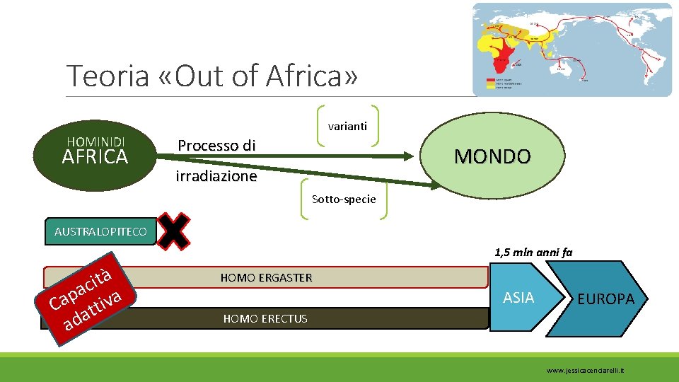 Teoria «Out of Africa» HOMINIDI AFRICA varianti Processo di MONDO irradiazione Sotto-specie AUSTRALOPITECO 1,