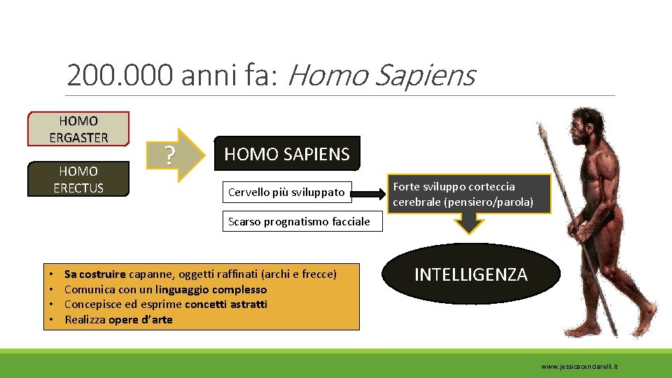 200. 000 anni fa: Homo Sapiens HOMO ERGASTER HOMO ERECTUS ? HOMO SAPIENS Cervello