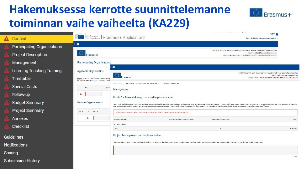 Hakemuksessa kerrotte suunnittelemanne toiminnan vaiheelta (KA 229) 