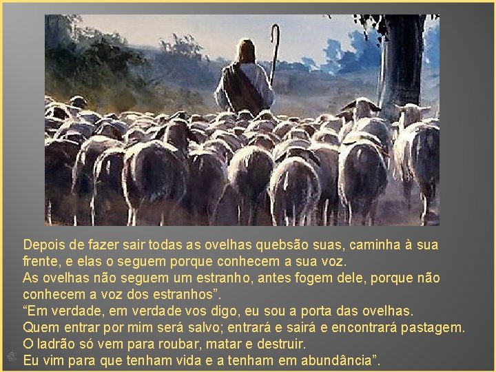 Depois de fazer sair todas as ovelhas quebsão suas, caminha à sua frente, e