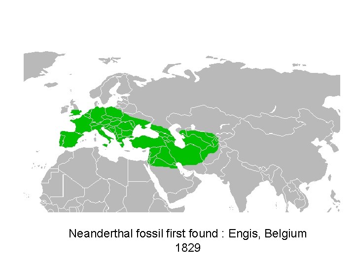 Neanderthal fossil first found : Engis, Belgium 1829 