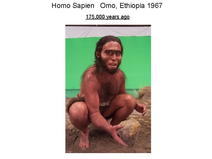 Homo Sapien Omo, Ethiopia 1967 175, 000 years ago 