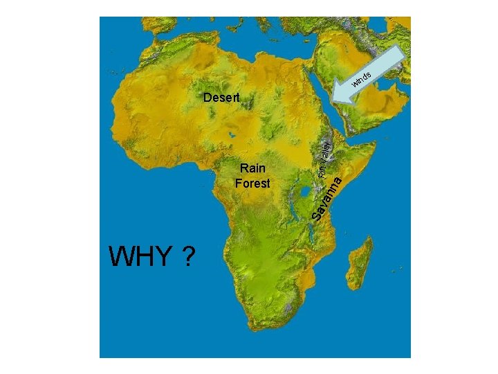 s nd wi a nn Sa va Rain Forest Rift Vall ey Desert WHY