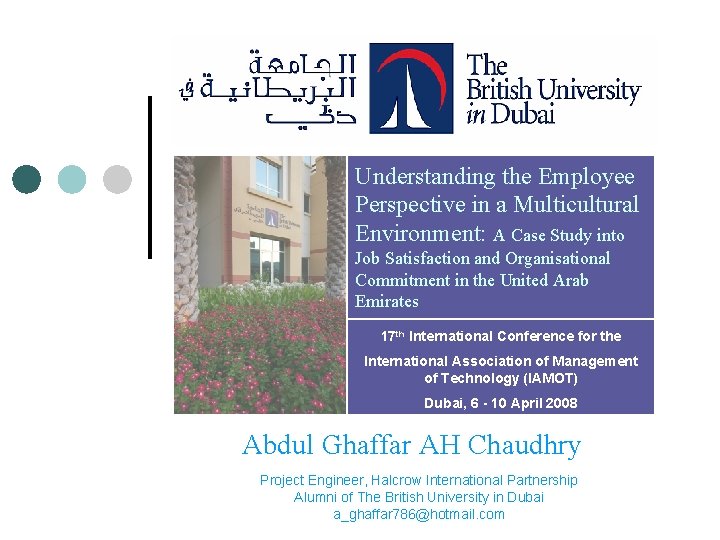 Understanding the Employee Perspective in a Multicultural Environment: A Case Study into Job Satisfaction