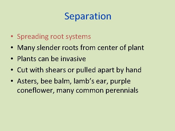 Separation • • • Spreading root systems Many slender roots from center of plant