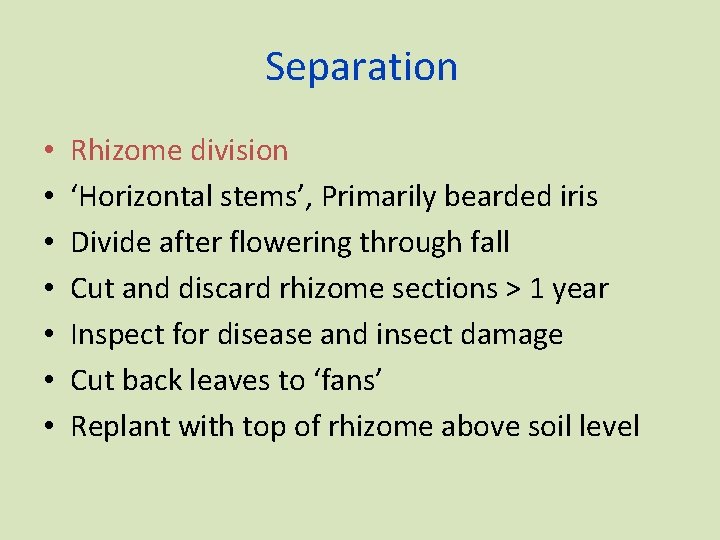 Separation • • Rhizome division ‘Horizontal stems’, Primarily bearded iris Divide after flowering through