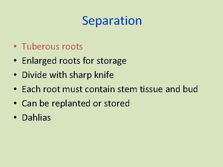 Separation • • • Tuberous roots Enlarged roots for storage Divide with sharp knife