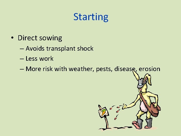 Starting • Direct sowing – Avoids transplant shock – Less work – More risk