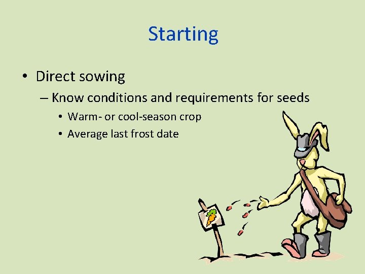 Starting • Direct sowing – Know conditions and requirements for seeds • Warm- or