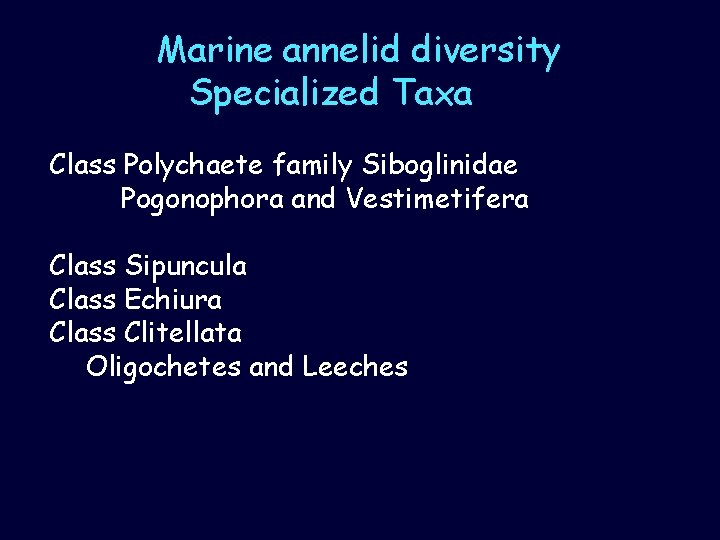 Marine annelid diversity Specialized Taxa Class Polychaete family Siboglinidae Pogonophora and Vestimetifera Class Sipuncula