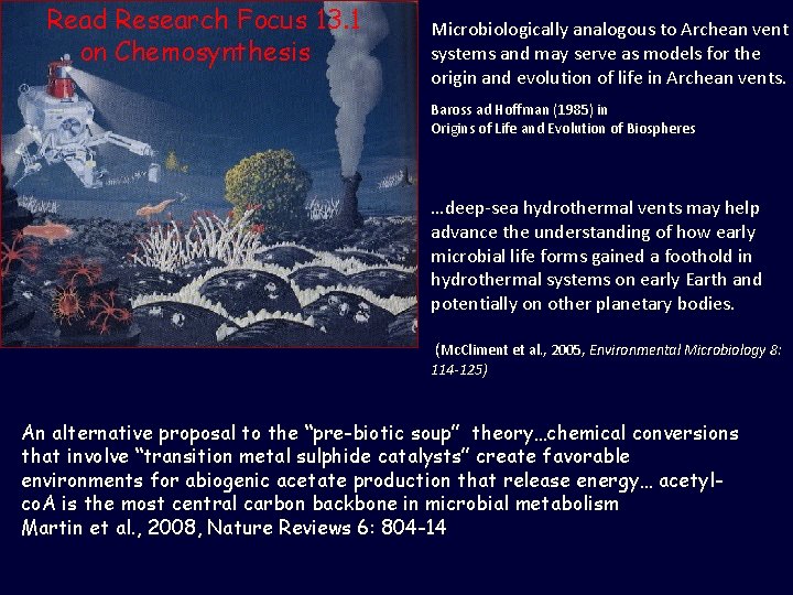 Read Research Focus 13. 1 on Chemosynthesis Microbiologically analogous to Archean vent systems and