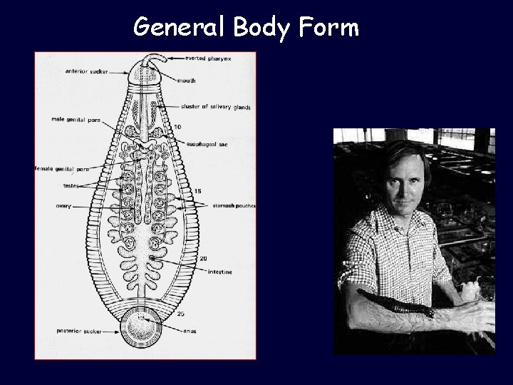 General Body Form 