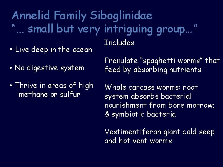 Annelid Family Siboglinidae “. . . small but very intriguing group…” • Live deep