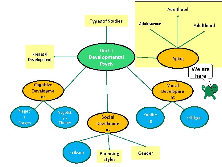 Adulthood Types of Studies Adolescence Unit 9 Developmental Psych Prenatal Development Aging We are