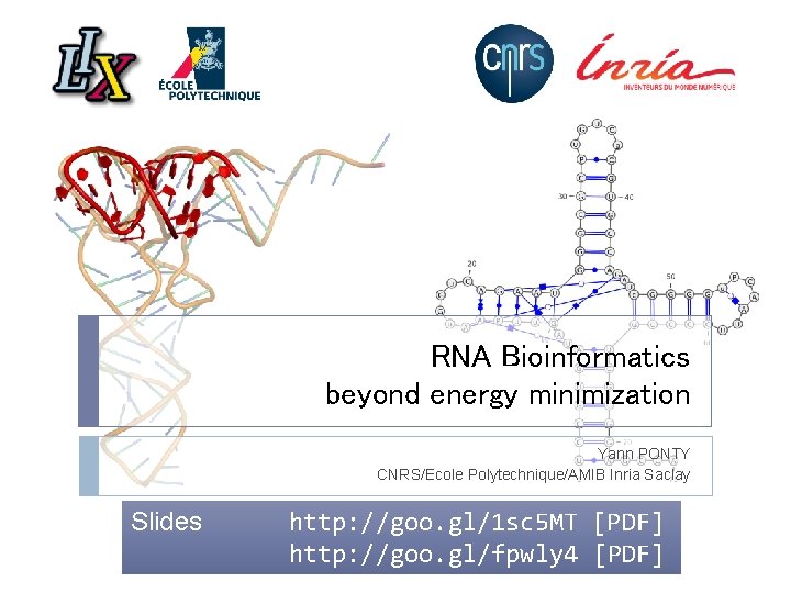 RNA Bioinformatics beyond energy minimization Yann PONTY CNRS/Ecole Polytechnique/AMIB Inria Saclay Slides http: //goo.