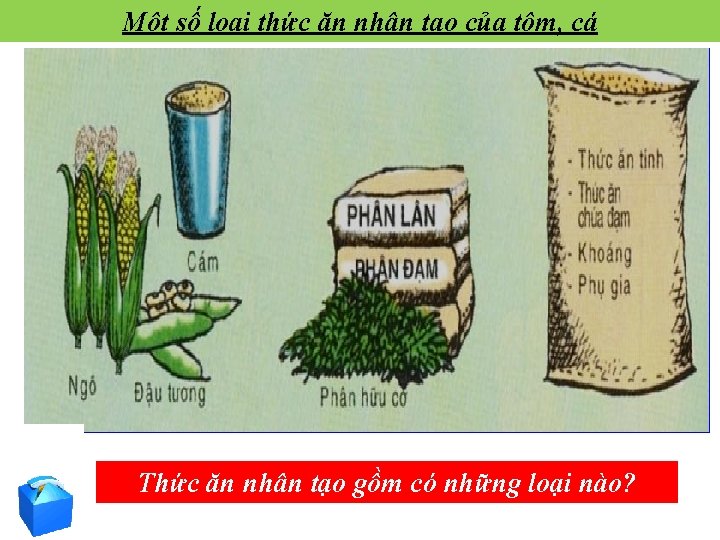 Một số loại thức ăn nhân tạo của tôm, cá Thức ăn nhân tạo