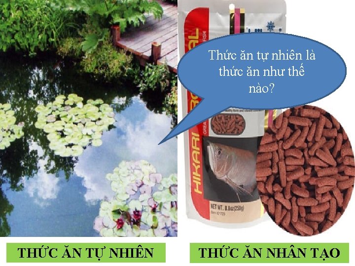 Thức ăn tự nhiên là thức ăn như thế nào? THỨC ĂN TỰ NHIÊN