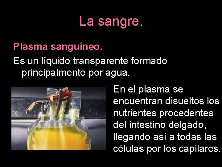 La sangre. Plasma sanguíneo. Es un líquido transparente formado principalmente por agua. En el