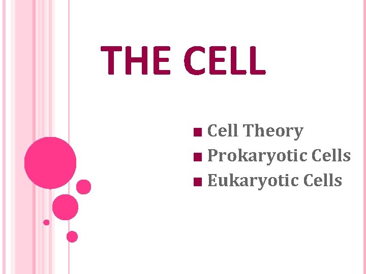 THE CELL ■ Cell Theory ■ Prokaryotic Cells ■ Eukaryotic Cells 