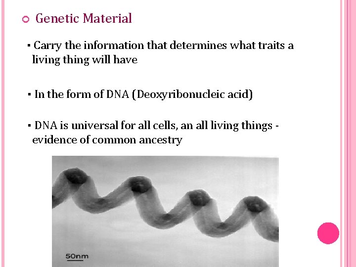  Genetic Material ▪ Carry the information that determines what traits a living thing