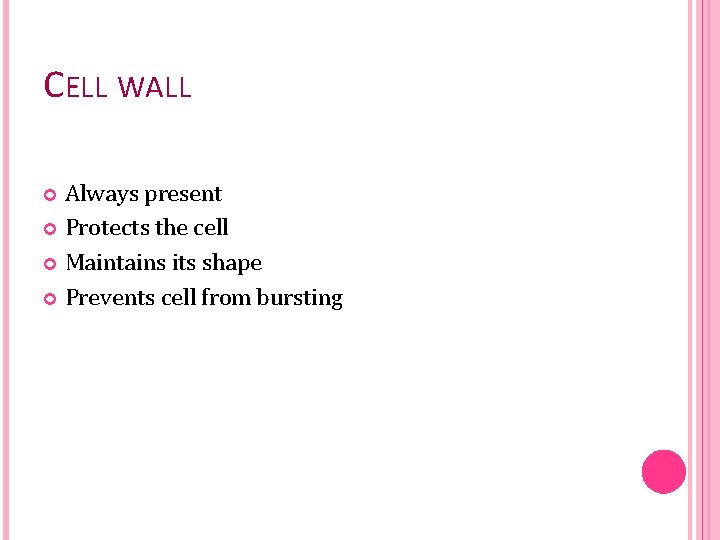 CELL WALL Always present Protects the cell Maintains its shape Prevents cell from bursting