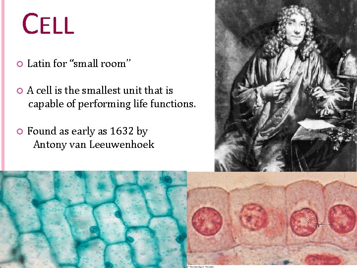 CELL Latin for “small room’’ A cell is the smallest unit that is capable