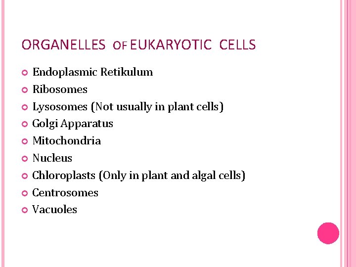 ORGANELLES OF EUKARYOTIC CELLS Endoplasmic Retikulum Ribosomes Lysosomes (Not usually in plant cells) Golgi