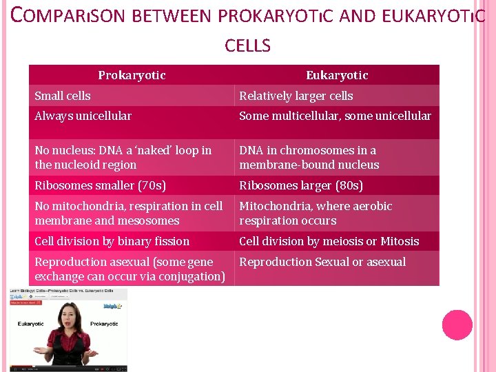 COMPARıSON BETWEEN PROKARYOTıC AND EUKARYOTıC CELLS Prokaryotic Eukaryotic Small cells Relatively larger cells Always