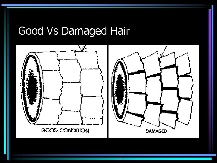 Good Vs Damaged Hair 