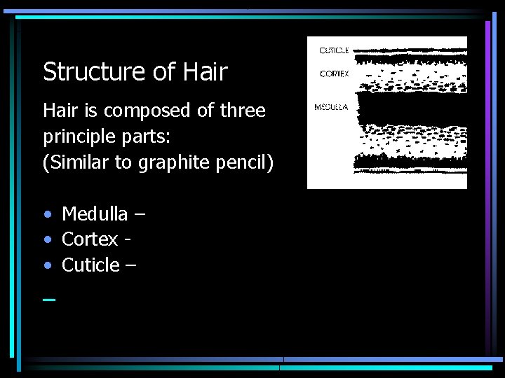 Structure of Hair is composed of three principle parts: (Similar to graphite pencil) •