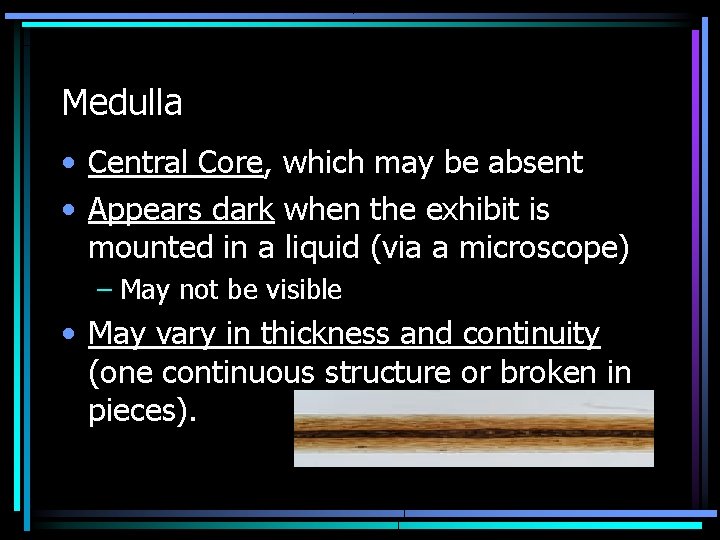 Medulla • Central Core, which may be absent • Appears dark when the exhibit