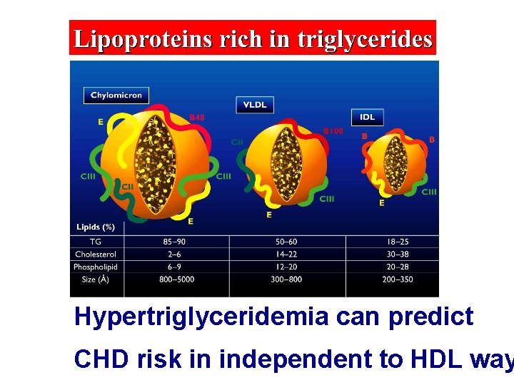 Hypertriglyceridemia can predict CHD risk in independent to HDL way 