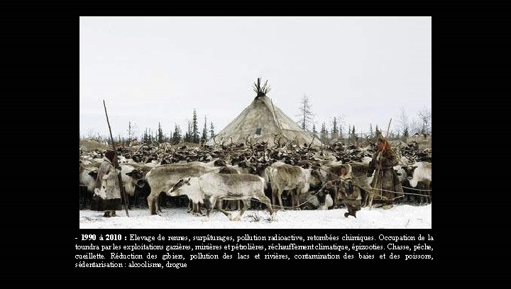 - 1990 à 2010 : Elevage de rennes, surpâturages, pollution radioactive, retombées chimiques. Occupation