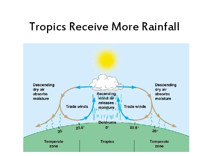 Tropics Receive More Rainfall 