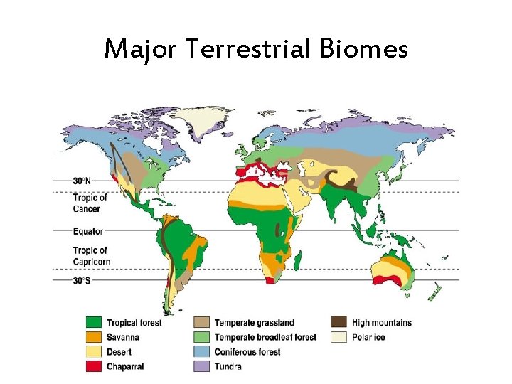 Major Terrestrial Biomes 