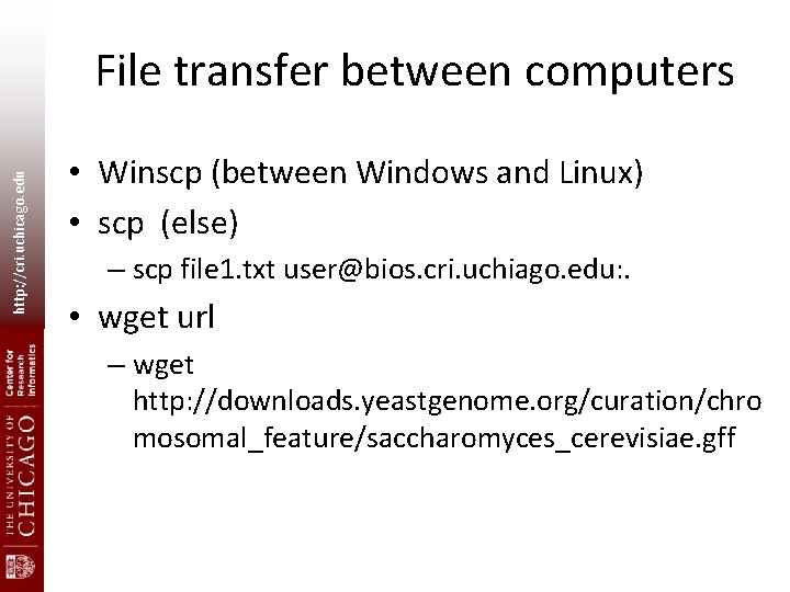 http: //cri. uchicago. edu File transfer between computers • Winscp (between Windows and Linux)