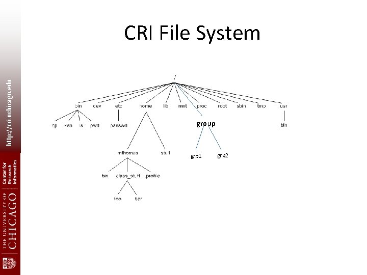 http: //cri. uchicago. edu CRI File System group grp 1 grp 2 