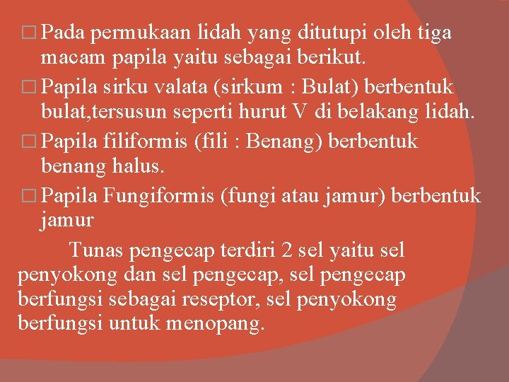 � Pada permukaan lidah yang ditutupi oleh tiga macam papila yaitu sebagai berikut. �