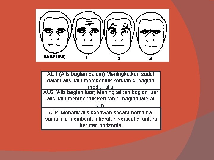 AU 1 (Alis bagian dalam) Meningkatkan sudut dalam alis, lalu membentuk kerutan di bagian